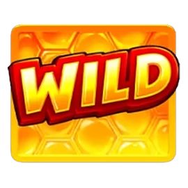 Wild symbol with honeycomb pattern